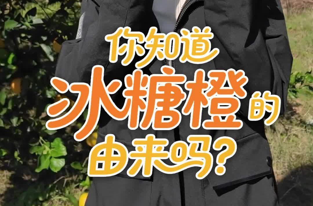 视频｜你知道冰糖橙的由来吗？柑橘节前探洪江