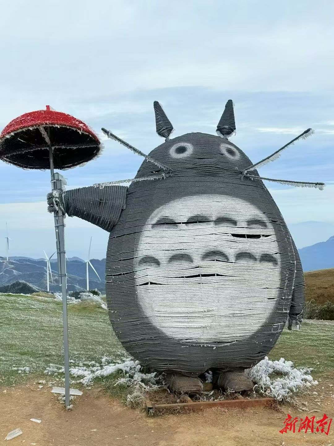 组图丨雾凇来了！在郴州仰天湖，遇到“宫崎骏的世界”