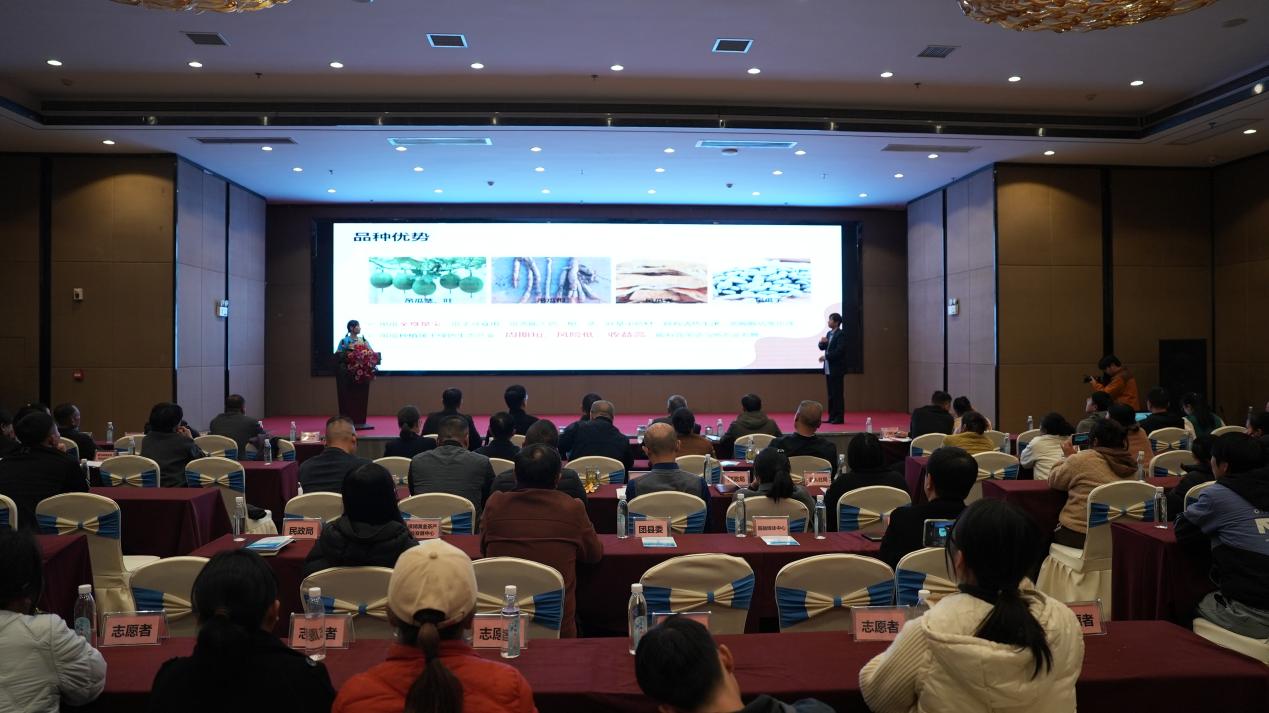 残志不残逐梦忙 湘西州保靖县残疾人创业路演点亮致富希望