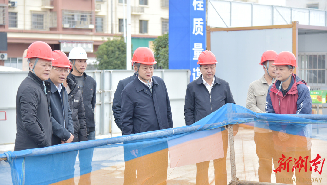 严华在洞口县调研督导安全生产和乡村振兴工作