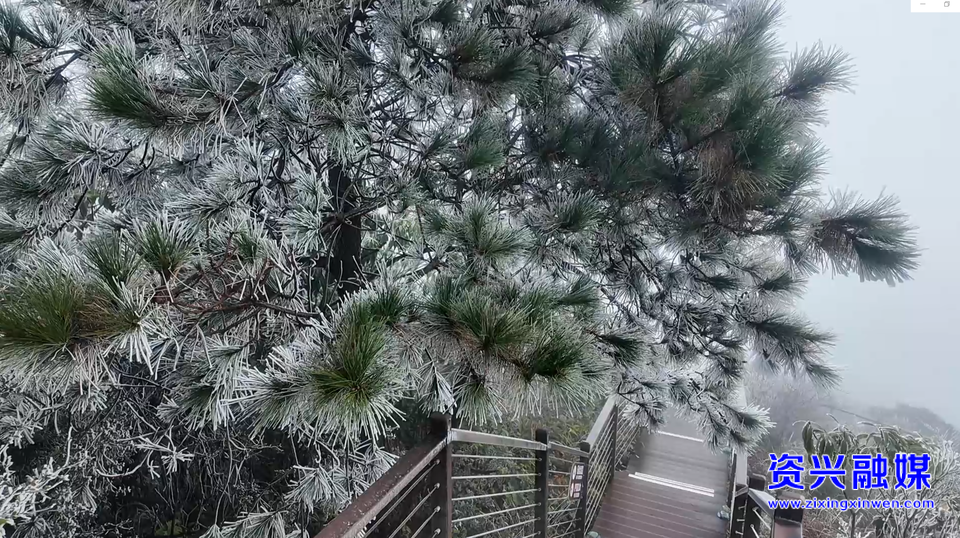 资兴：回龙山迎来今冬首场雾凇景观
