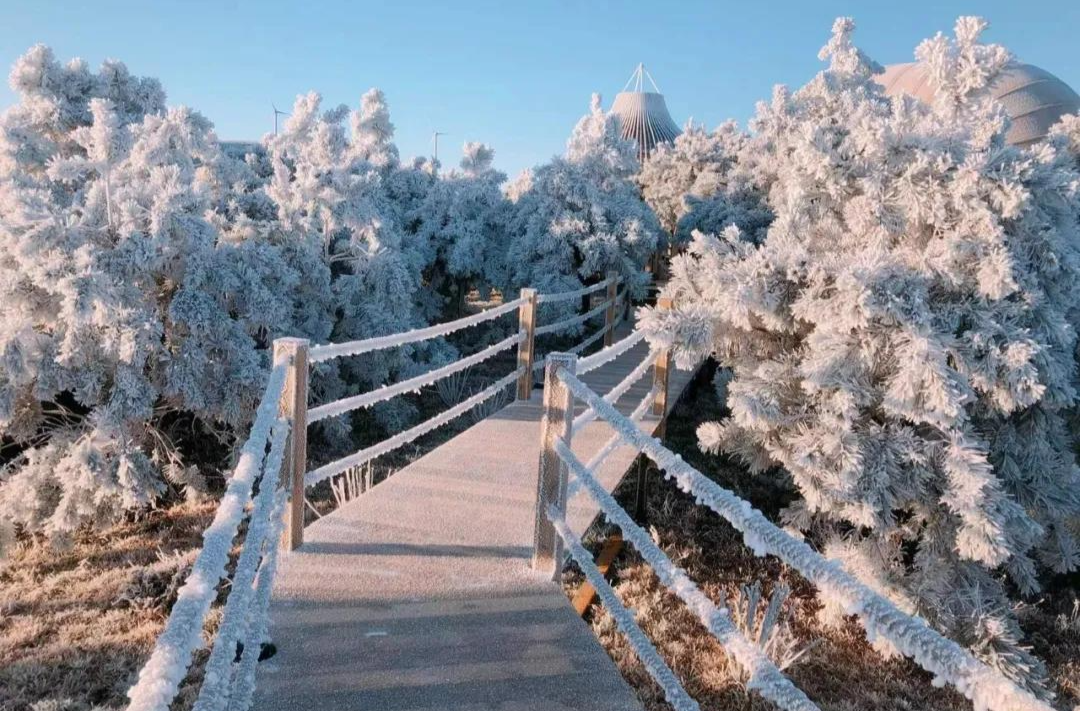 郴州发布丨美到词穷！郴州首场雾凇惊艳上线