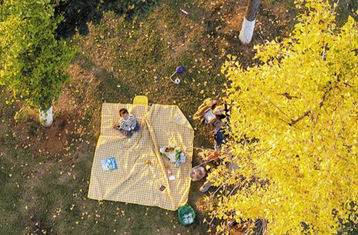 Capture Changsha's Seasonal Surprise of Nature