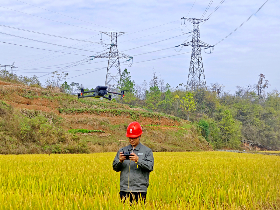 国网邵阳供电公司 电力护航晚稻丰收归仓
