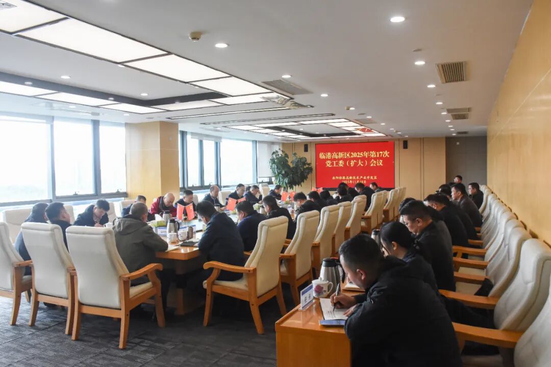岳阳临港高新区召开2025年第17次党工委（扩大）会议