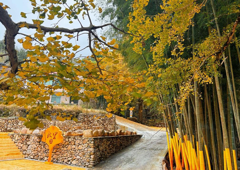 桂东沤江：党建聚力谋突破 乡村产业绽新姿