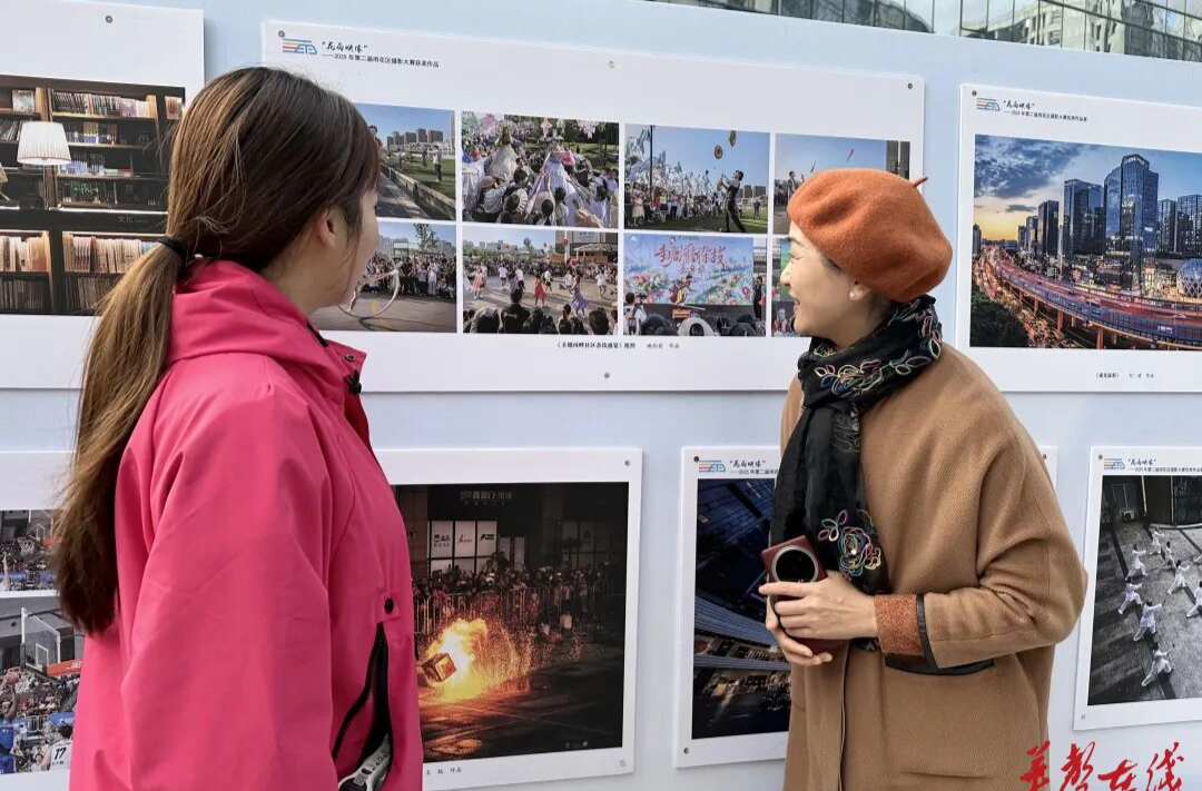 150幅摄影作品看雨花的速度与温度
