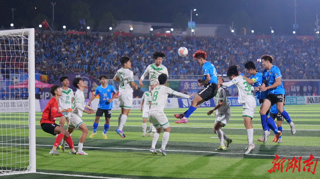 不懂莊懂|總有一些美好會(huì)在寒冬里發(fā)芽