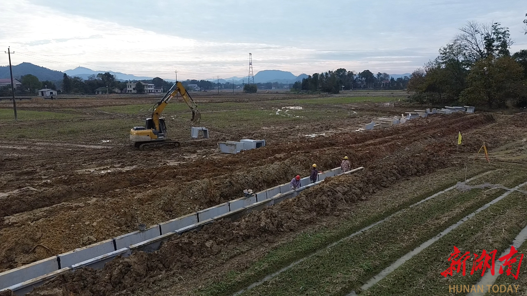 桃江投融资机制加速推进6.76万亩高标准农田建设