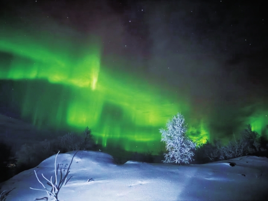 诗与远方 长沙的枫叶为初冬上大分 赴俄免签在即引爆冰雪游