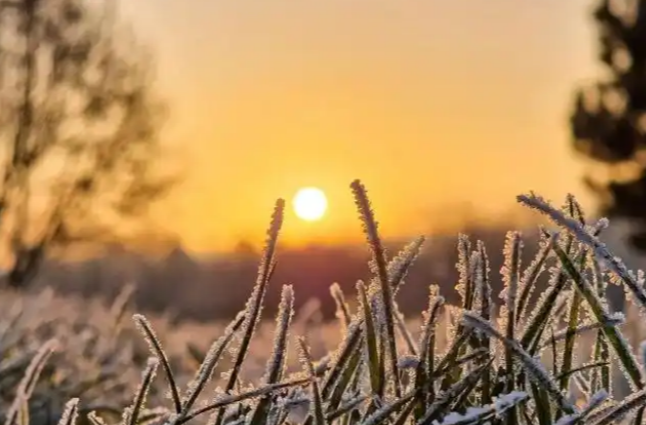 月底还有寒潮吗？气象专家：暂无，但降温“套餐”已发货
