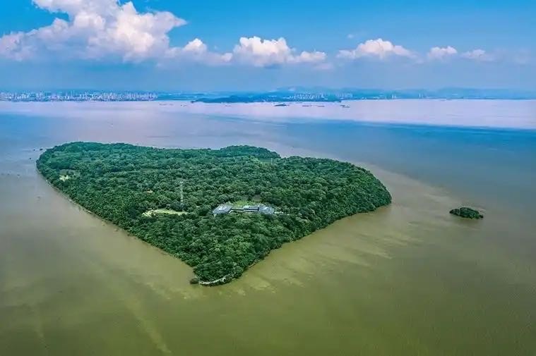 生态修复绘就绿色发展新画卷 厚植优质营商环境沃土  