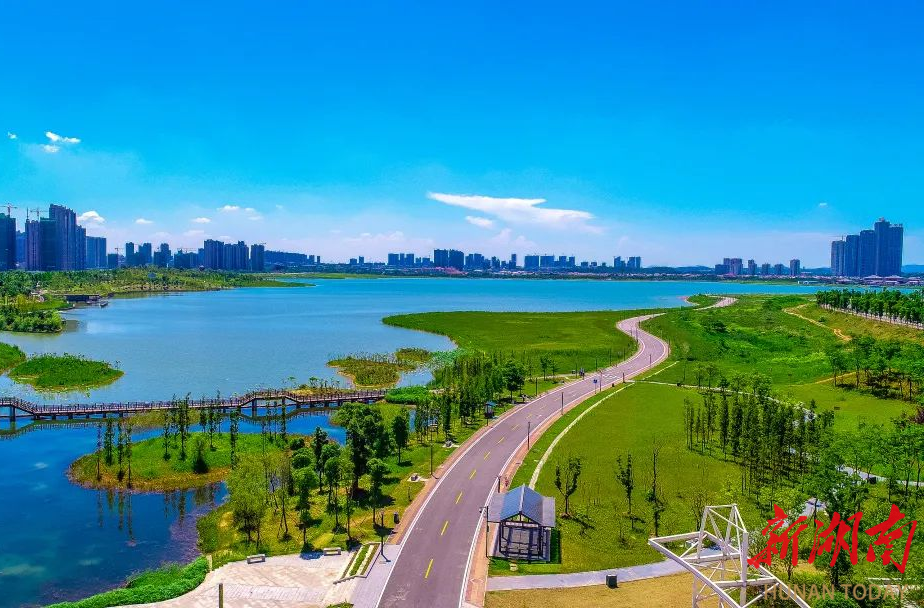 长沙县：林长制“五大行动” 筑牢生态屏障