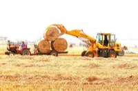 常德发布｜津市：“秸”尽其用促增收 绿色发展惠民生