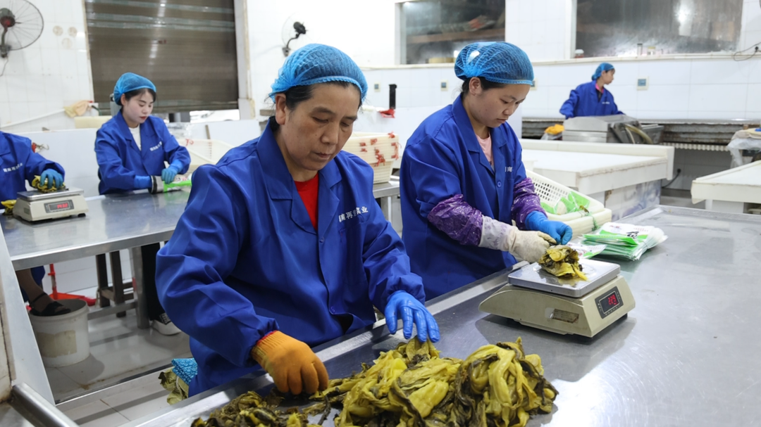 田间连车间  “双栖”农民守家就业创收