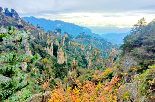 雾凇缀秋山，张家界国家森林公园初冬画卷美出圈