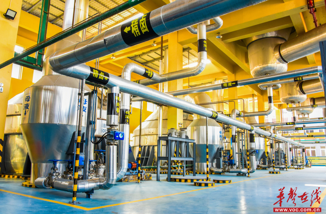 雪天盐业：从一粒盐的纯度追求，到一个行业的标准引领