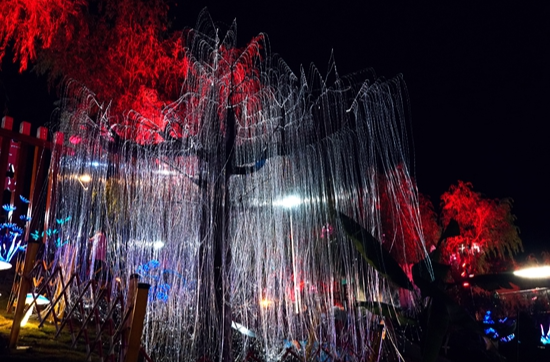 光影织梦！武陵源夜色变身“阿凡达秘境”