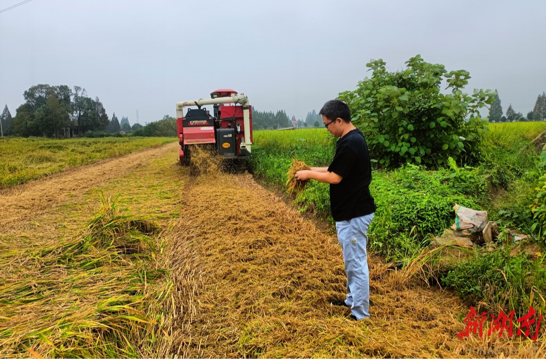 打好疏堵组合拳，沅江市标本兼治做好秸秆管控