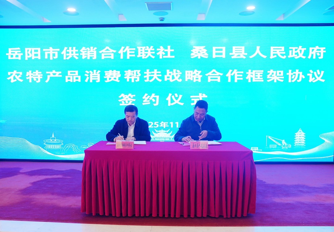 桑日有“岳”丨持续拓展支援广度深度 聚力推动岳桑合作再上新台阶