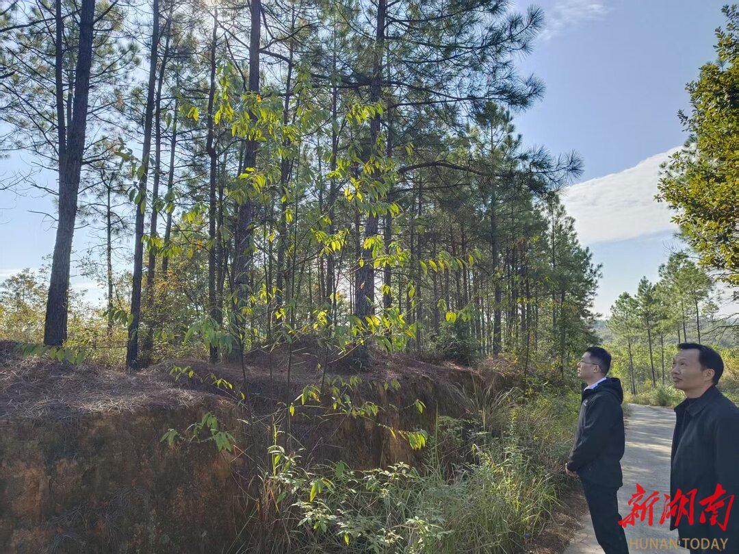 衡南县江口镇开展巡林工作 筑牢冬季森林“防火墙”