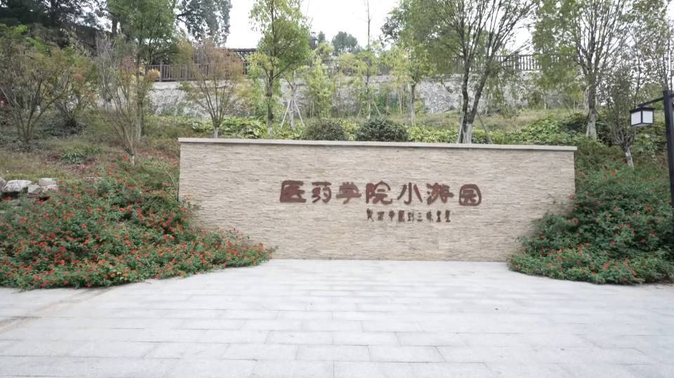 怀化：“见缝插绿”  “绘”出城市好景致