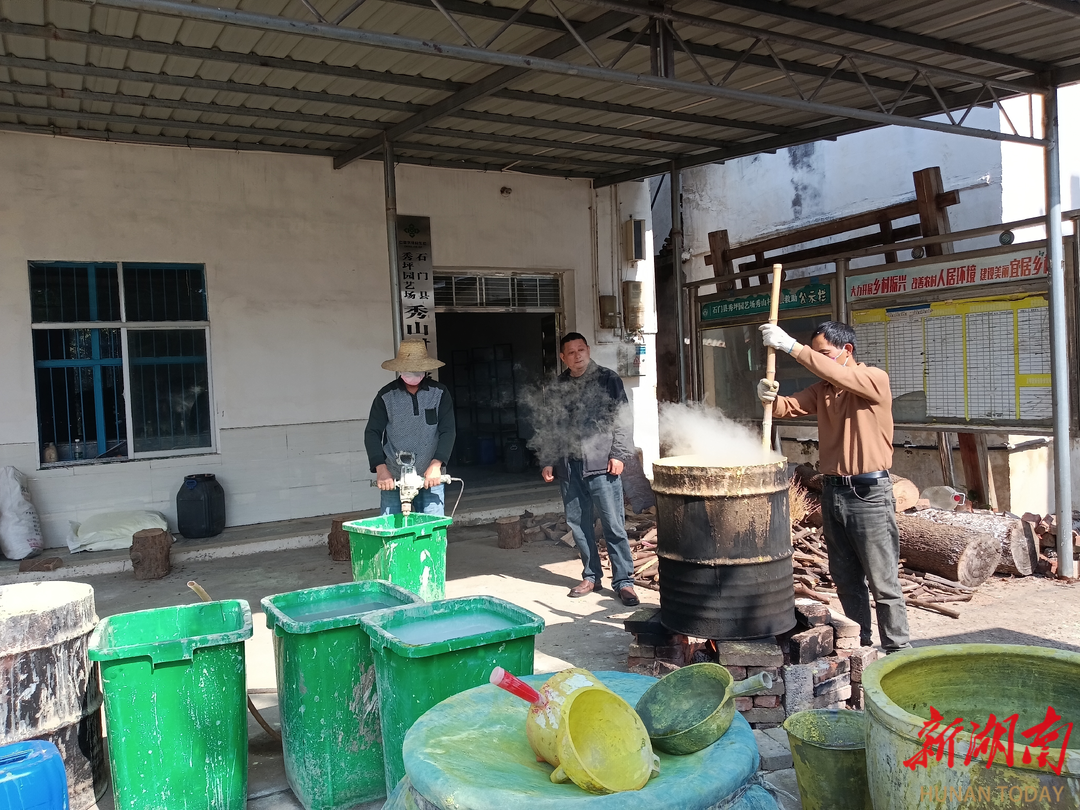 石门县秀山村：惠民服务帮助橘农稳收增收