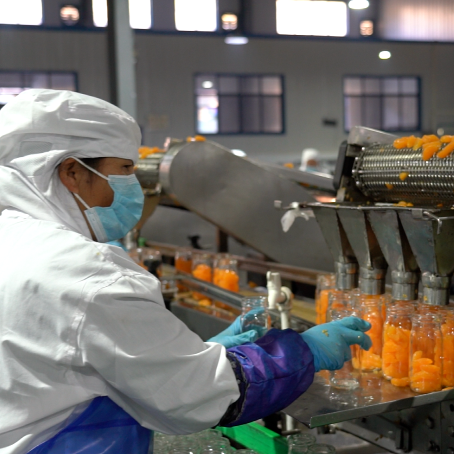甜蜜“橙”意满车间 怀化海联食品柑橘罐头产销两旺创新高