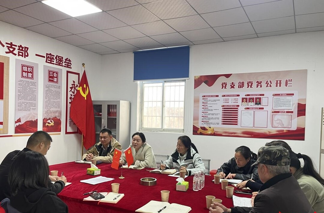 雨湖区楠竹山镇：党建引领聚合力 政企社携手促发展