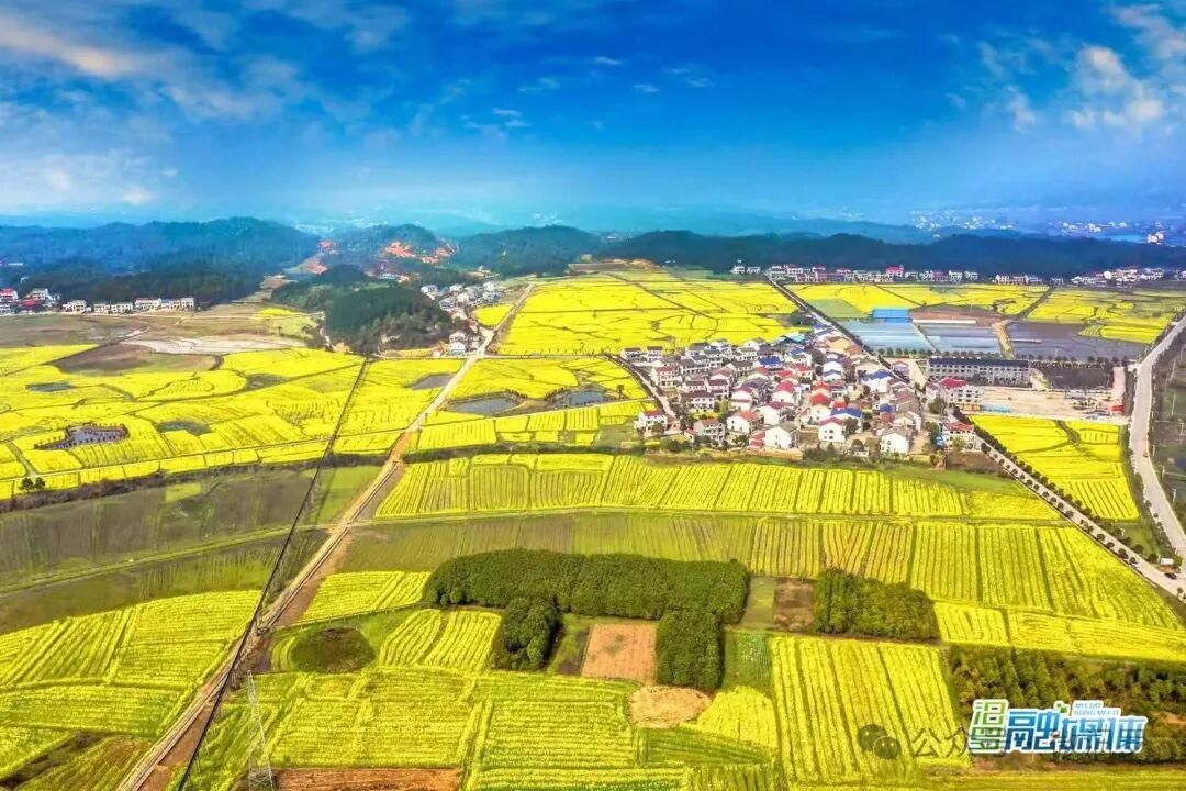 越生态越香甜！ 长乐镇的甜美“密码”这样酿