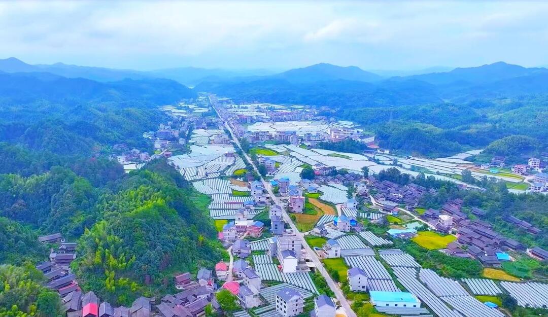 绥宁县东山乡：党建引领聚合力 侗乡大地红提香