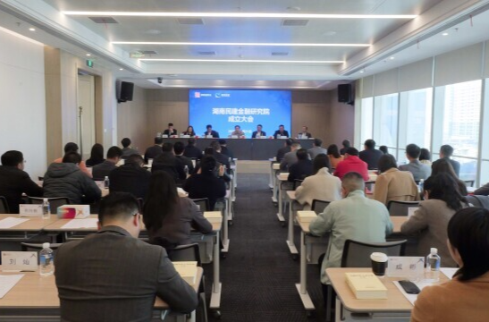 打造全省新型金融智库，湖南民建金融研究院成立
