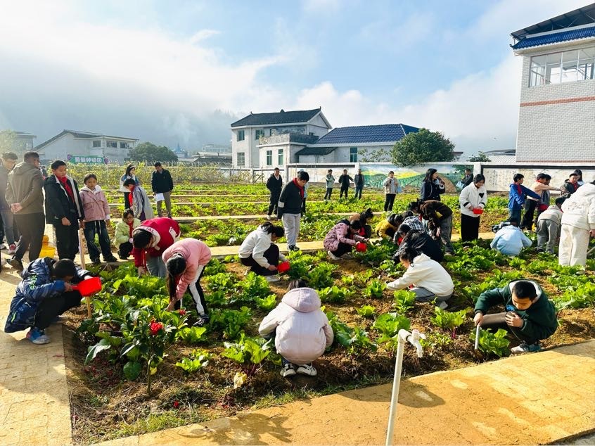 湘西州：田间地头践真知 送教下乡育新苗