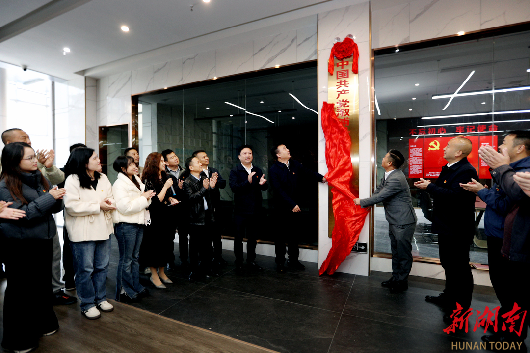 溆浦县驻长株潭流动党员委员会揭牌成立