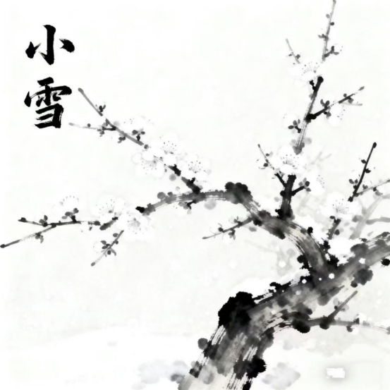 小雪时节，护心养阳