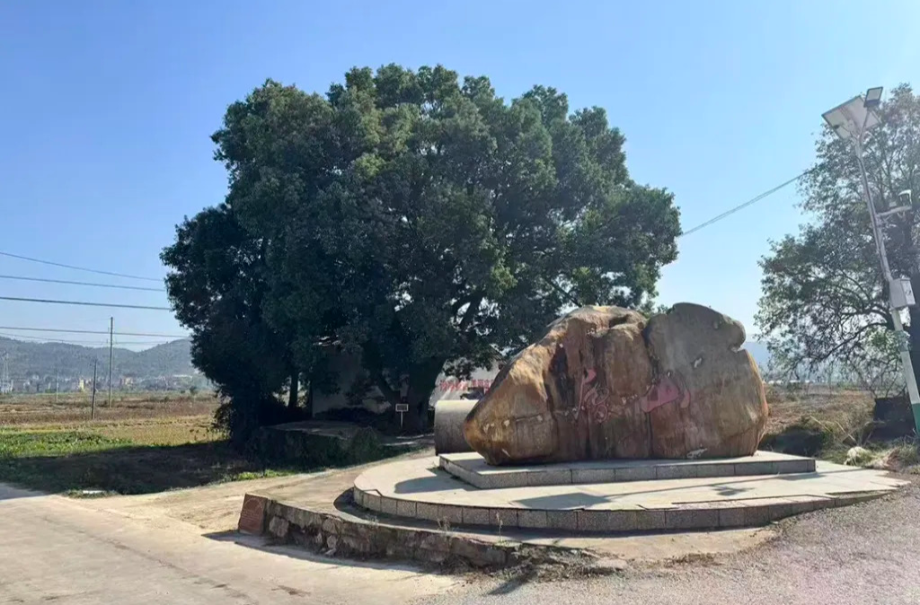 “高校博導”郭偉的雙面人生：江西小鎮高中畢業