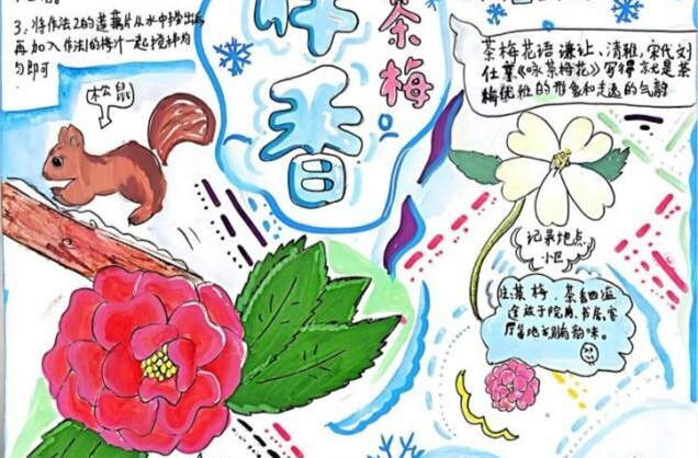 节气湖南·物候|小雪：菊盏摇金，闲酿光阴