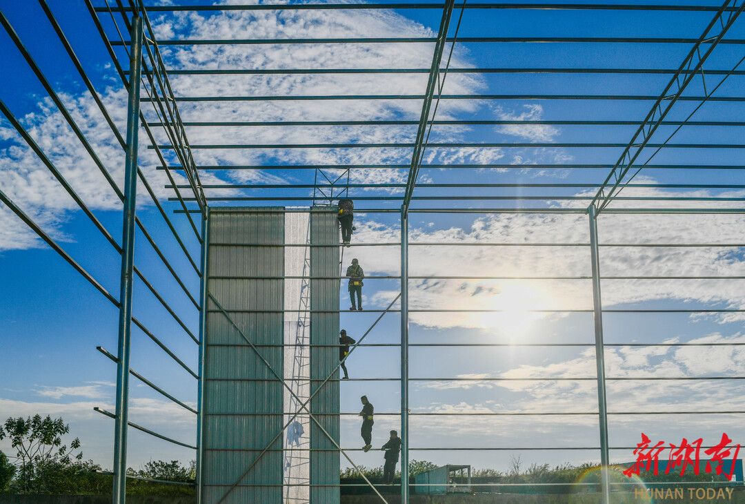 项目建设“冲刺跑”