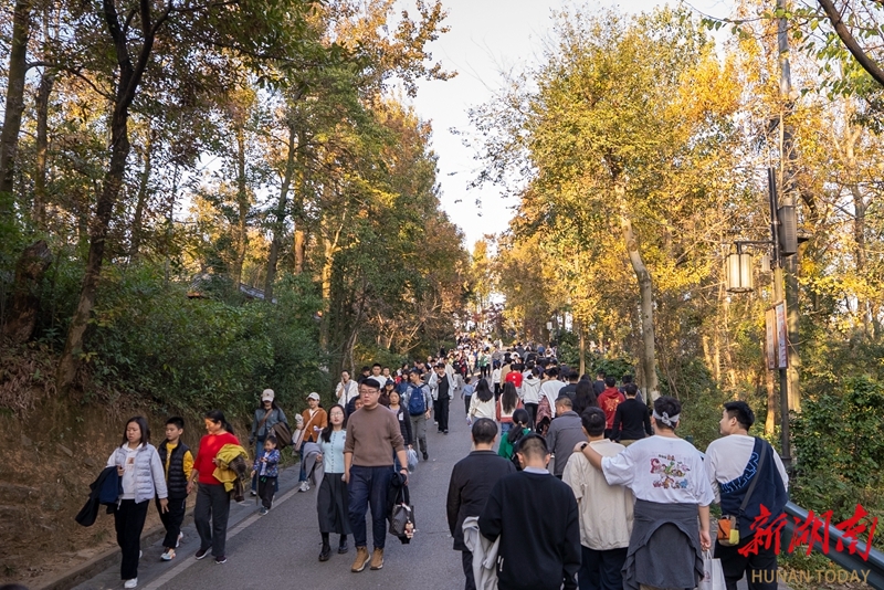 岳麓山开启 “人从众”模式