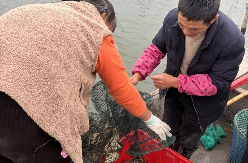 成本僅百元、陽澄湖大閘蟹被冒充……一張小小的蟹卡存在哪些貓膩？記者揭秘→