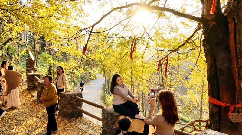 超美！周末就去邵阳这些地方打卡