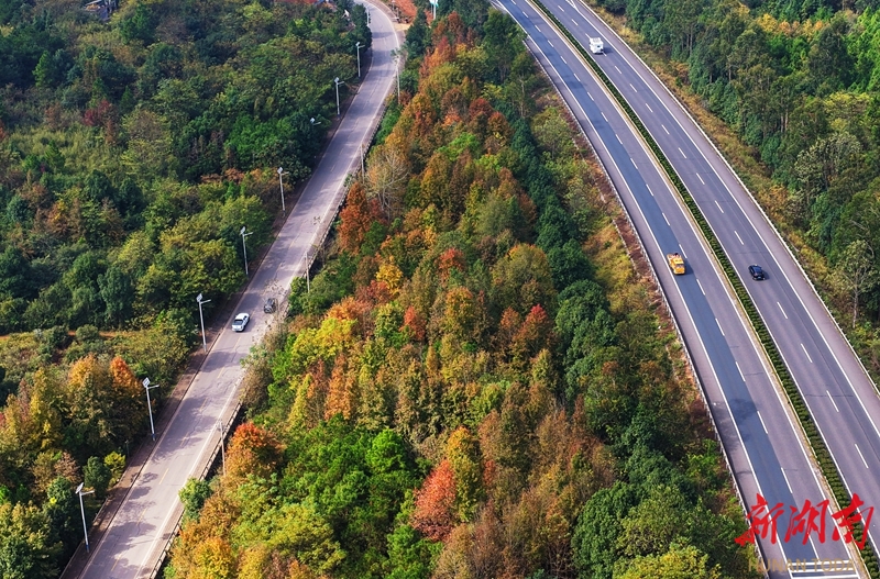 高速公路生态美