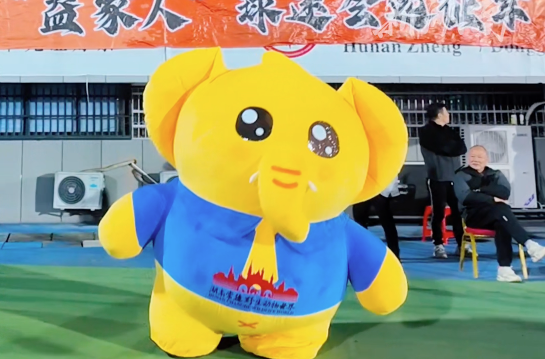 常德主场再现“掉队小象”：赶不上“大部队”便与客队益阳球迷共舞