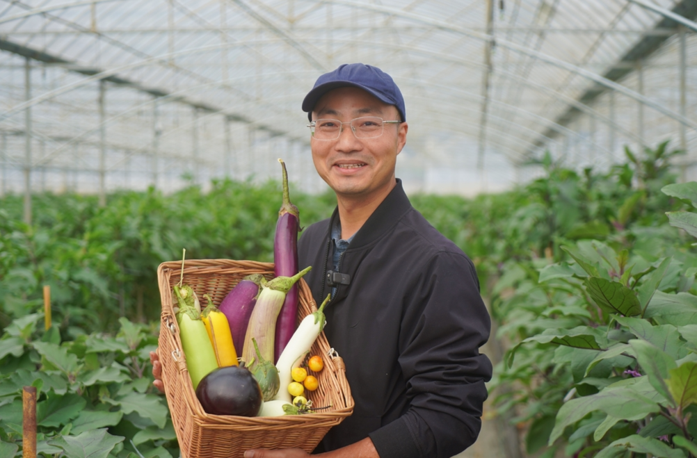 我的青春在田野｜汪端华：育种就像“打怪升级”