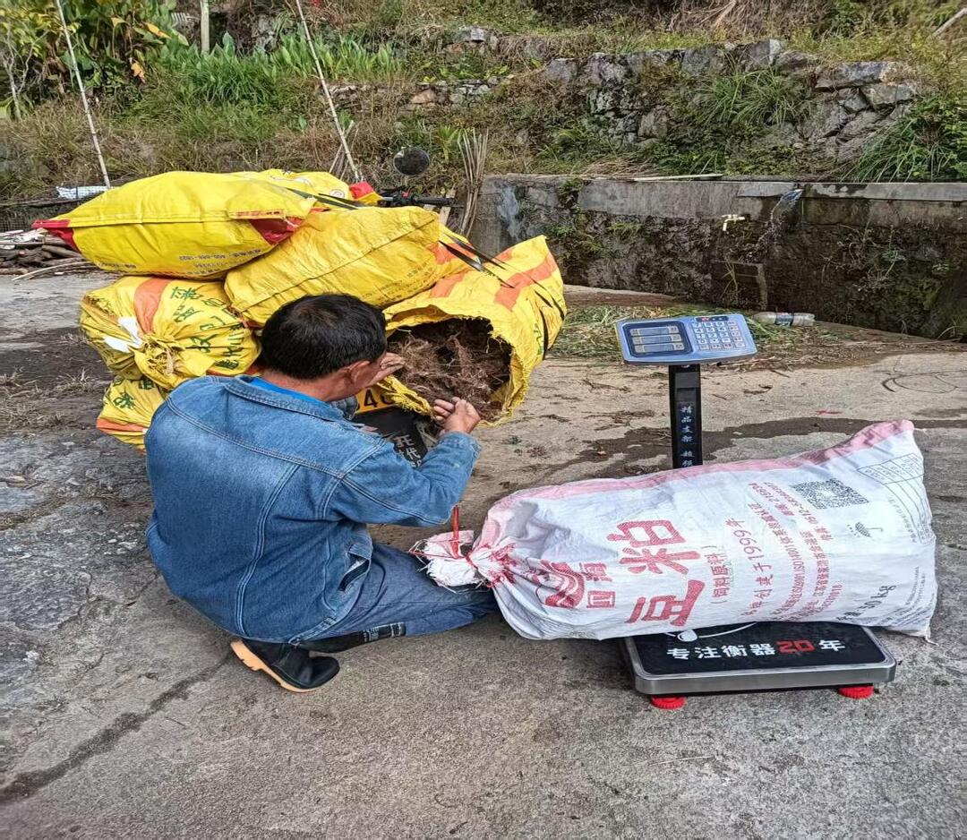 桂东：助残赋能圆梦想 就业创业路更宽