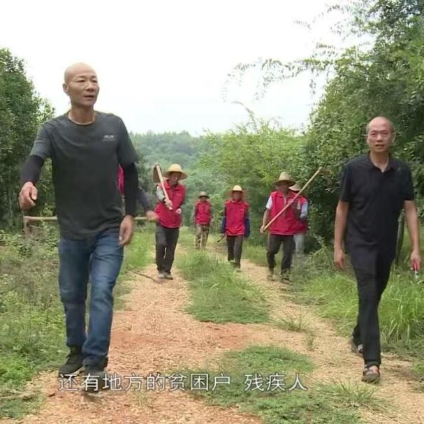 残躯筑绿尽朝晖