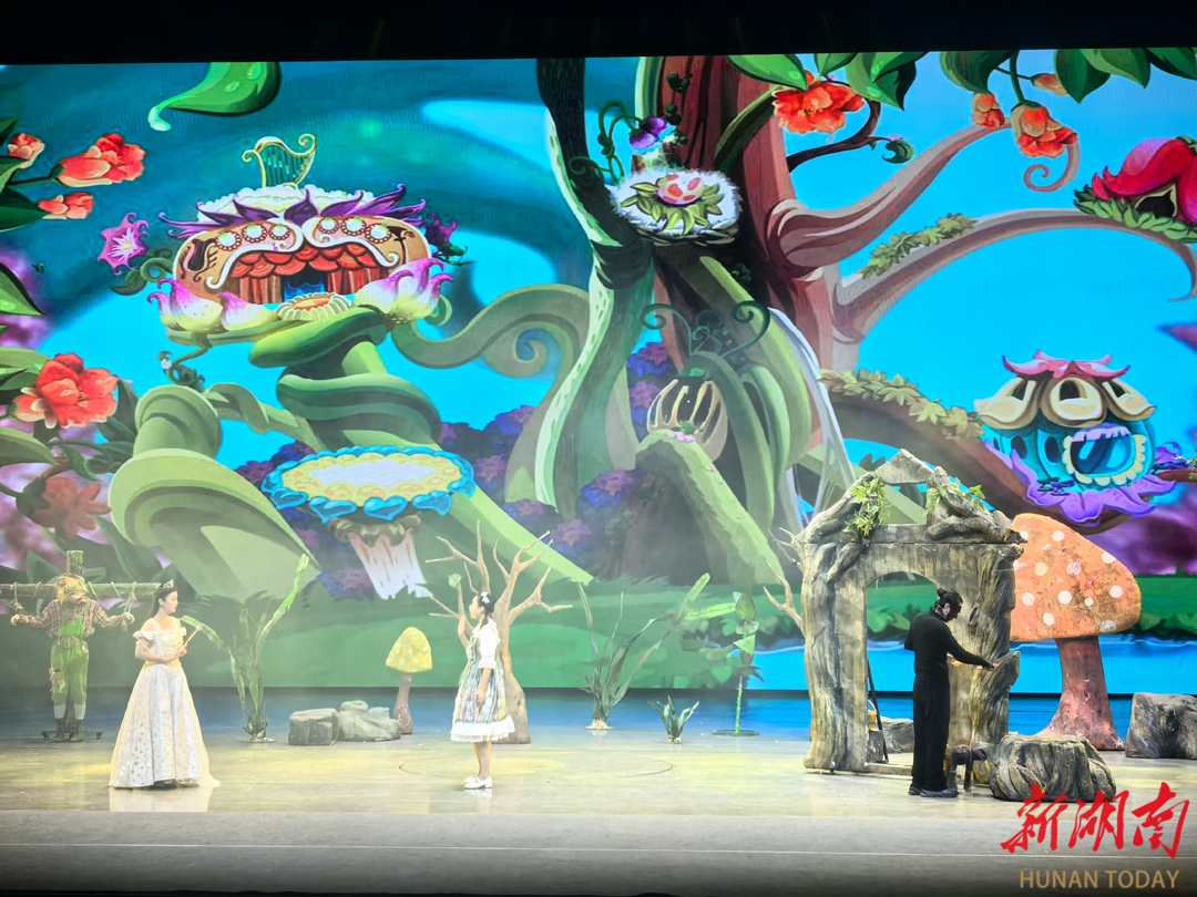 周六晚，大小朋友们的快乐，清溪儿童戏剧周《绿野仙踪》承包了