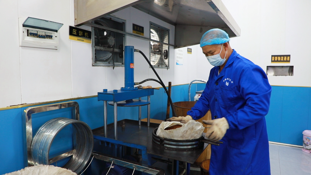 汝城茶油飘香 产销两旺富了乡邻