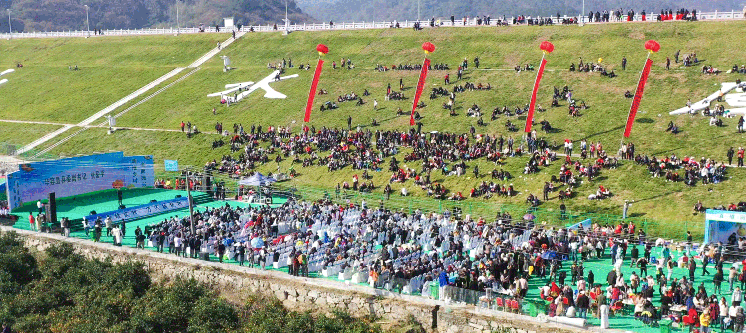 赋能地理标志品牌 激活特色产业动能 华容县东山皱皮柑招商活动成功举办