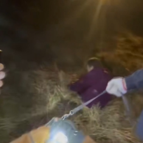 “利刃”出鞘！寒夜嗅源追踪，桂阳警犬救回走失老人